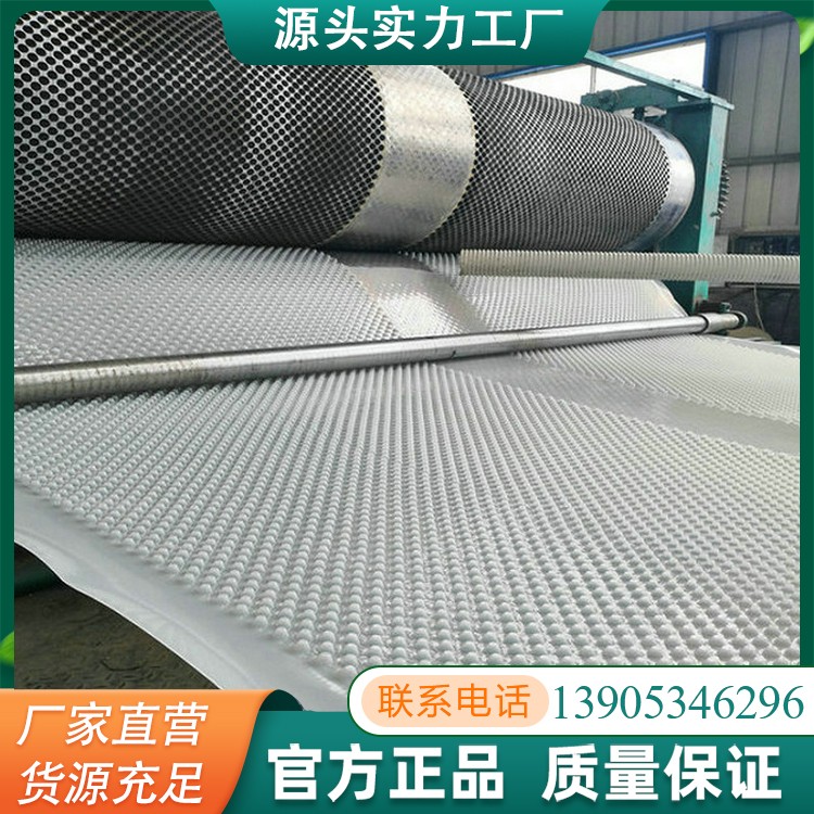 防水板聚乙烯防渗水膜