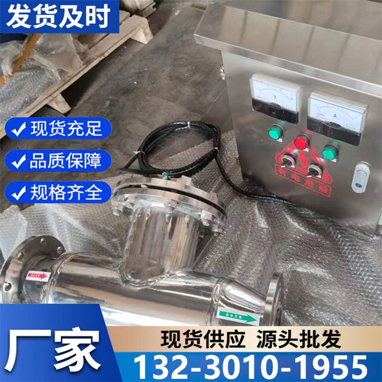 定制银离子消毒器 按需设计规格 适配饮用水、泳池等多场景