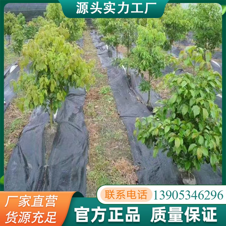 果园防草布欢迎定制全国发货