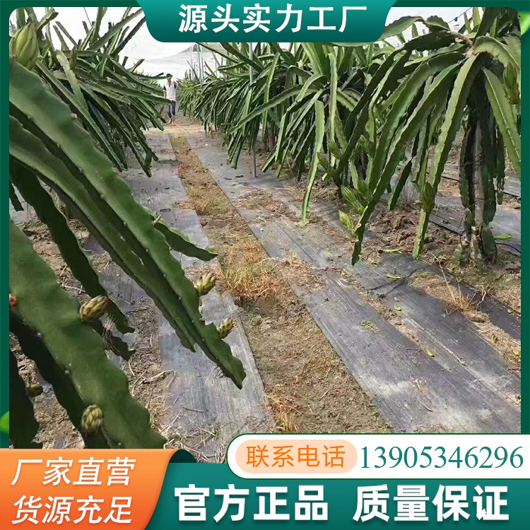 防草布量大从优源头直发