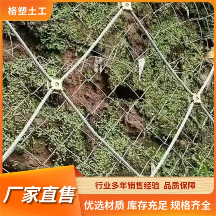 被动边坡防护网 PPS-300/100环形网 SNS柔性主动防 护网