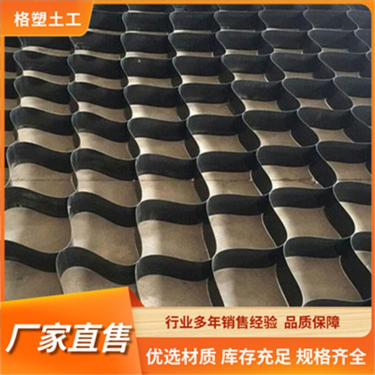 格塑土工 土工格室 加固护坡工程打孔蜂巢格室 可伸缩不变形