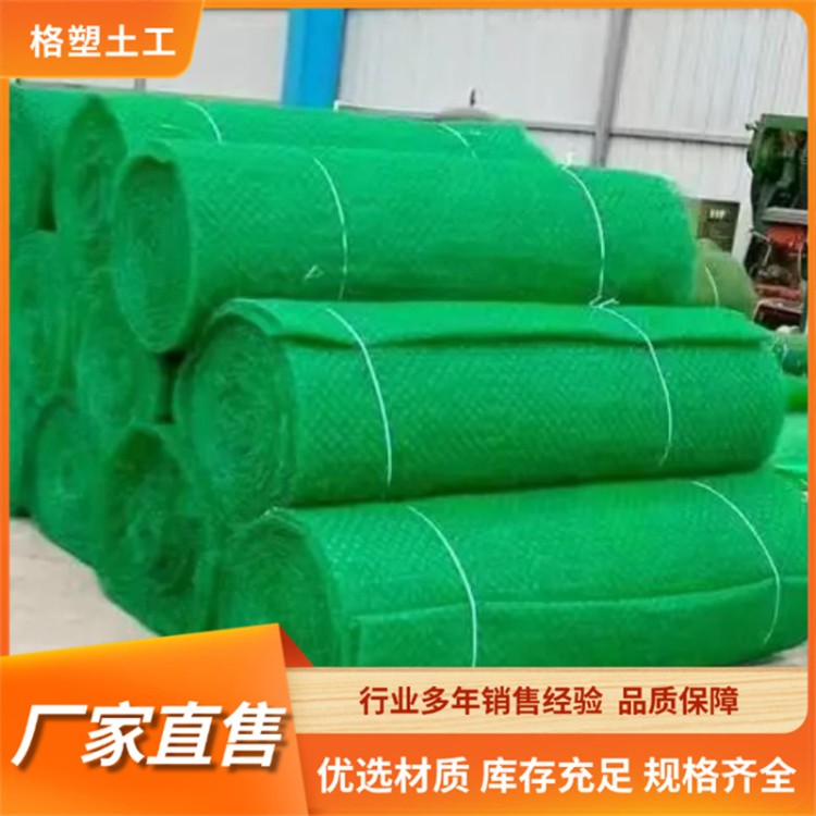加筋麦克垫 固土水土保护毯 镀锌钢丝 绿化三维植被网 河堤治理护岸