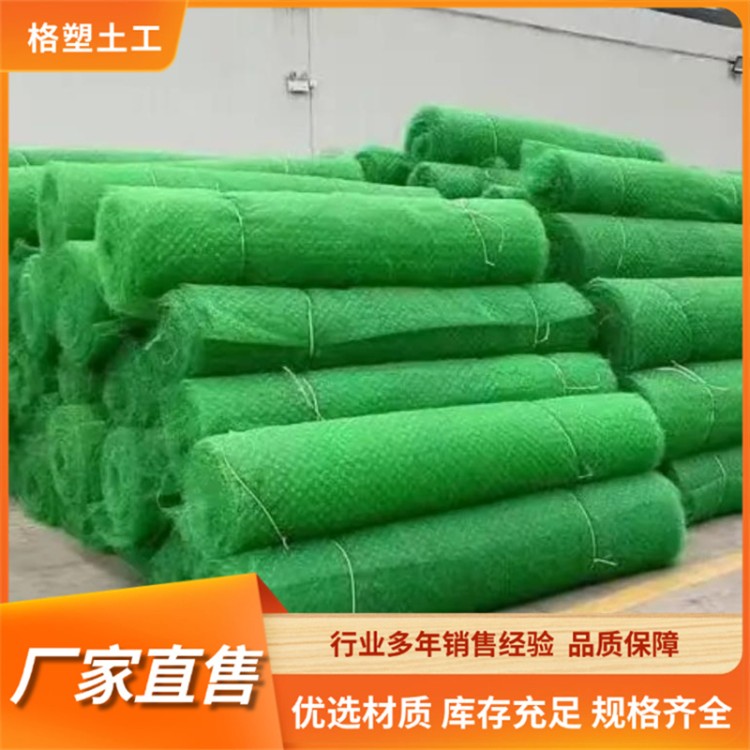 格塑 护坡三维植被网 EM3土工网 河道治理 高速绿化 植草固土