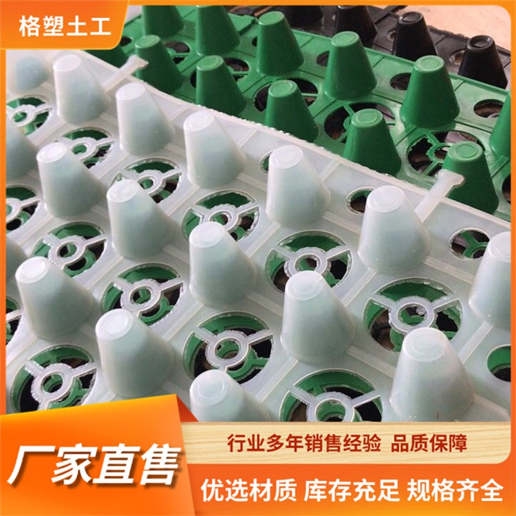 高密度聚乙烯 HDPE蓄排水板 耐久性强耐腐 屋顶绿化种植