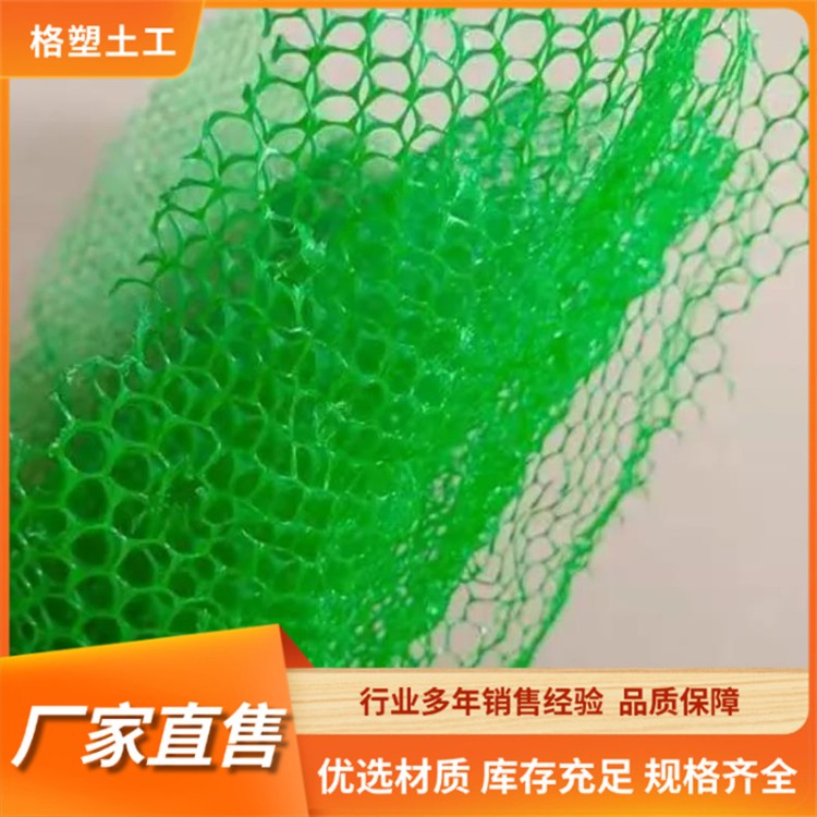 厂家定制三维植被网 斜坡护坡植草绿化植被网垫 PE