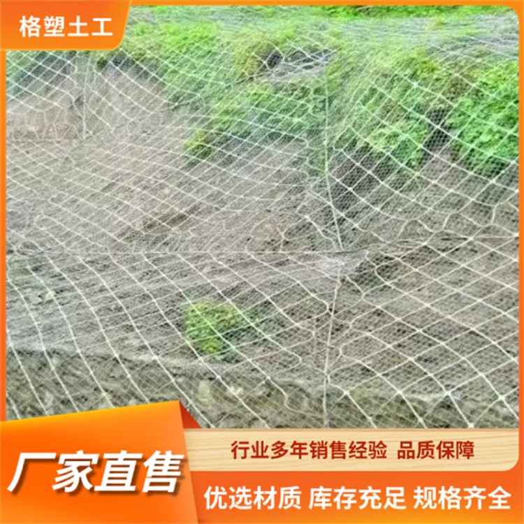 sns柔性防护网施工方案 边坡植被种草防护景区绿化安全网