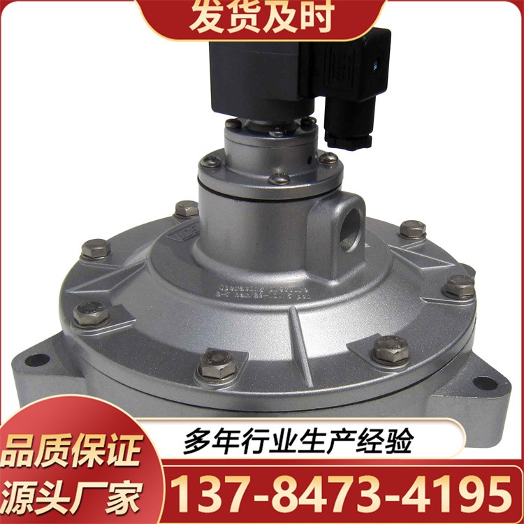 电磁脉冲阀  专业厂家 用途广泛 非标定做