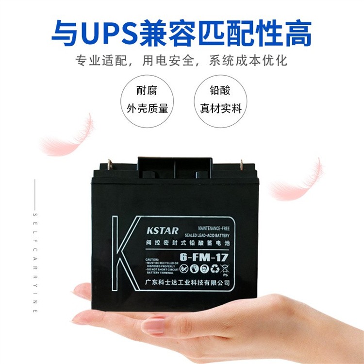 KSTAR科士达蓄电池6-FM-24 12V24AH直流屏 配电柜