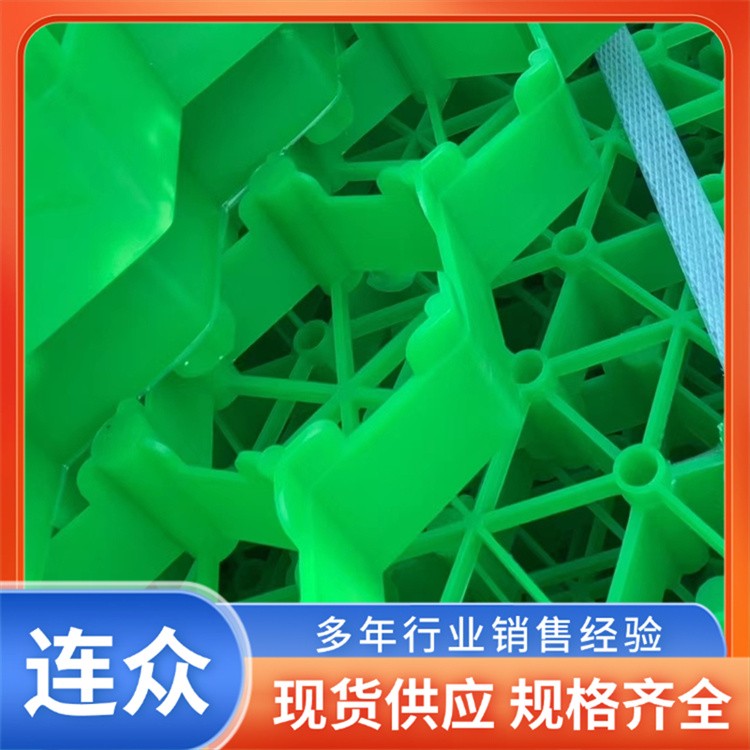 生产厂家HDPE植草格 停车场绿化 河道护坡植草格