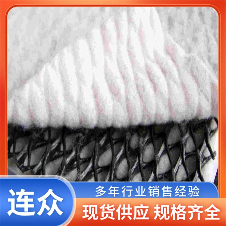 路基隧道三维复合排水网 4mm网芯边坡过滤加筋土工网垫 多规格定制