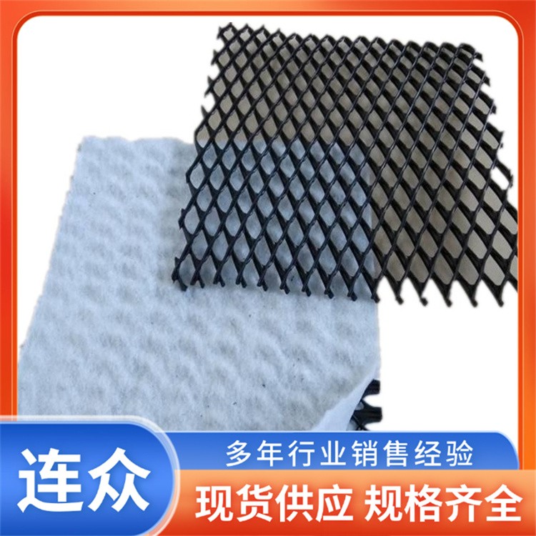 三维复合排水网 人工湖渗水挡土墙导流 耐腐蚀HDPE网芯 连众定制