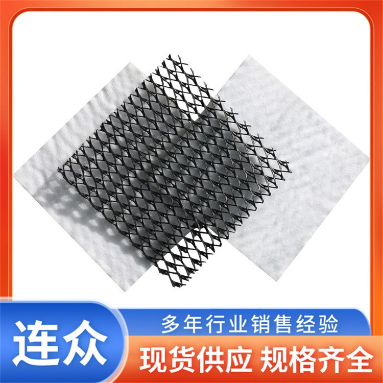 三维复合排水网 垃圾填埋场用三维排水土工网 规格定制生产