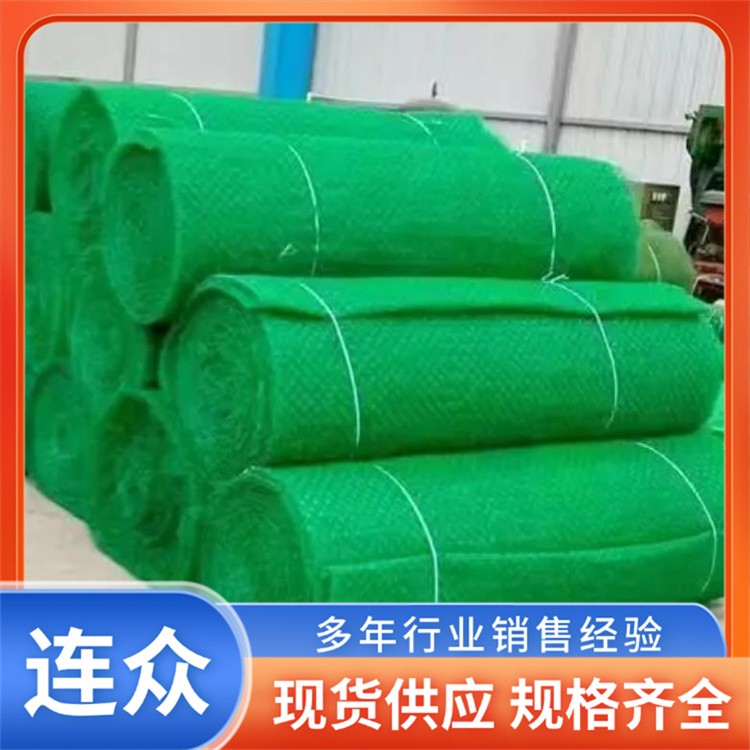 加筋三维植被网 三维土工加筋网垫 山体绿化植被网