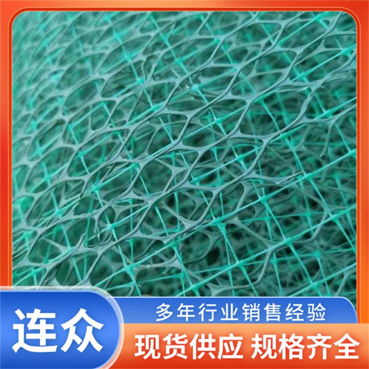 三维植被网 喷播植草护坡加筋麦克垫 固土网垫