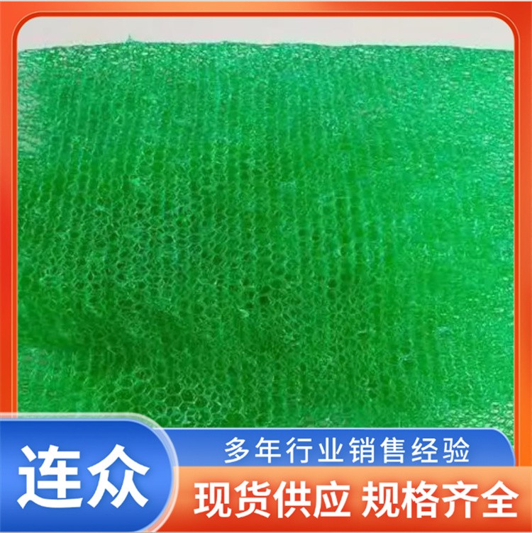 厂家定制三维植被网 斜坡护坡植草绿化植被网垫 连众