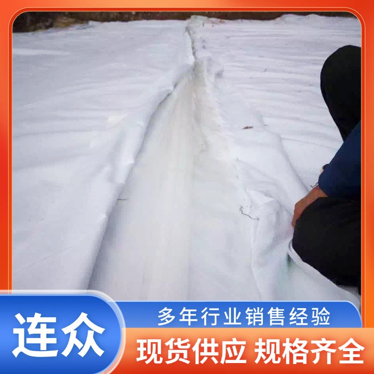 土工膜 复合土工膜 两布一膜 防渗膜 厂家现货批发 可定制