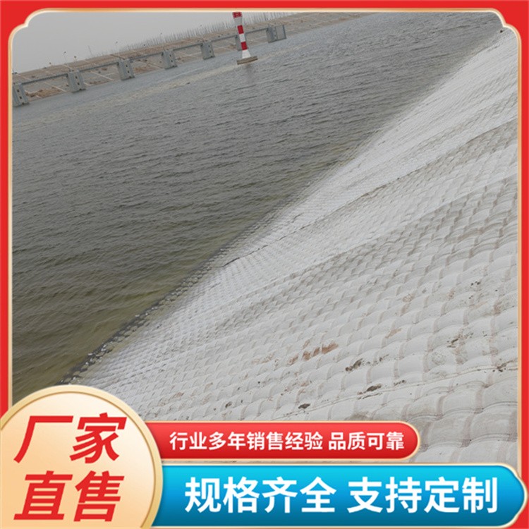 土工膜袋 水利工程堤坝抗冲刷 加工定制