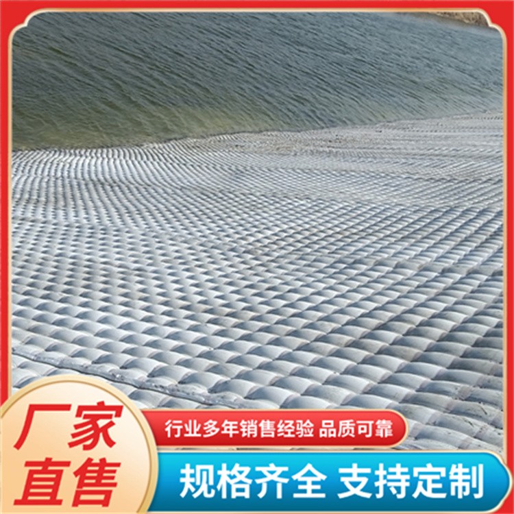 土工膜袋 桥梁道路边坡加固 耐磨耐酸耐碱