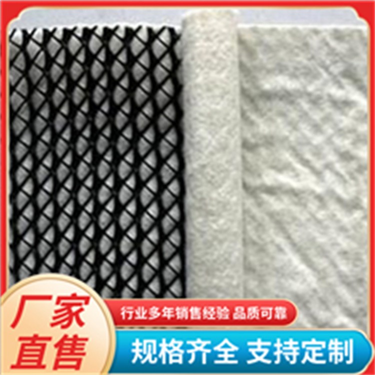 PE三维复合排水网生产线设备 地基加固 结构稳定