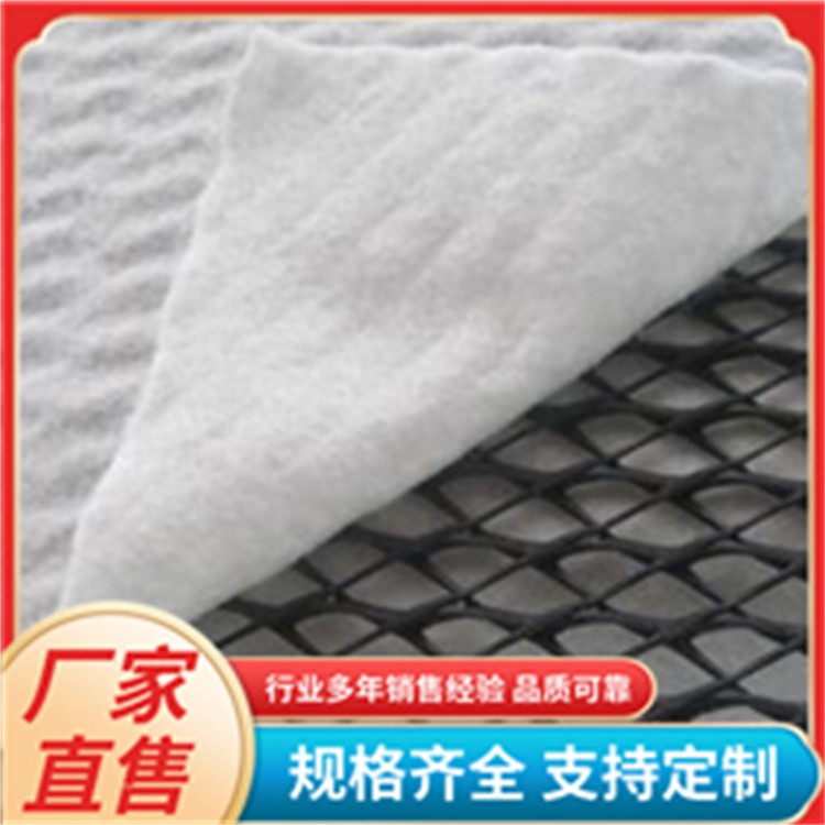 三维复合排水网 排水复合网 垃圾场填埋加筋过滤排水材料