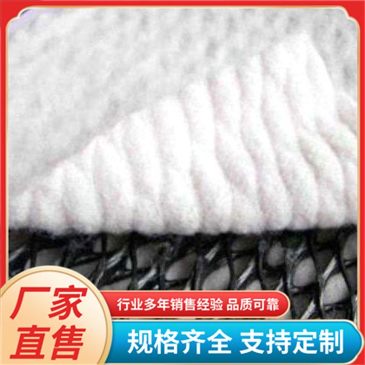 路基隧道三维复合排水网 4mm网芯边坡过滤加筋土工网垫 多规格定制