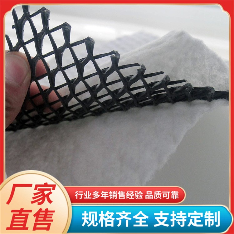 6mm三维复合排水网 垃圾镇埋场过滤网 公路路基复合网 排水性强