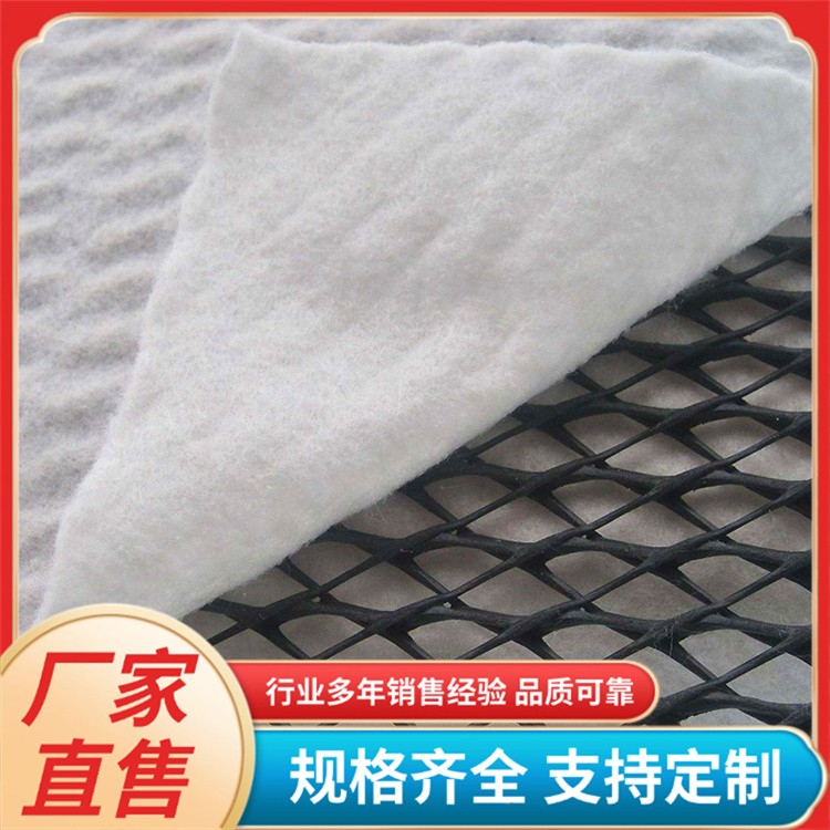 三维复合排水网厂家 铁路隧道供应 路基边坡立体透水网土工网