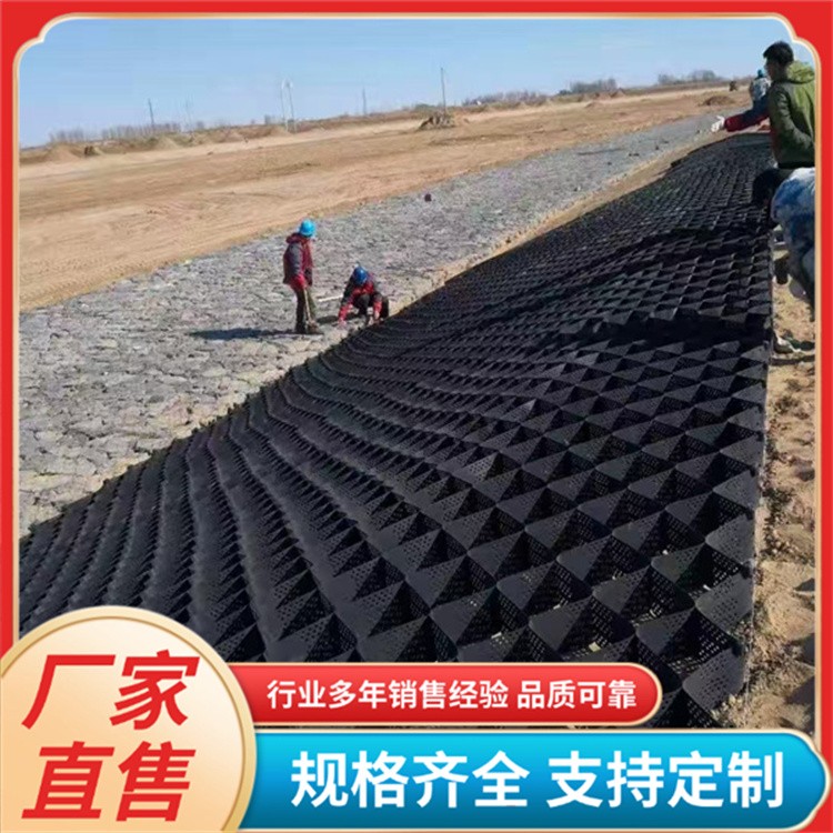 蜂巢土工格室 植草光面压花打孔焊接塑料格室 路基边坡护坡土工网格