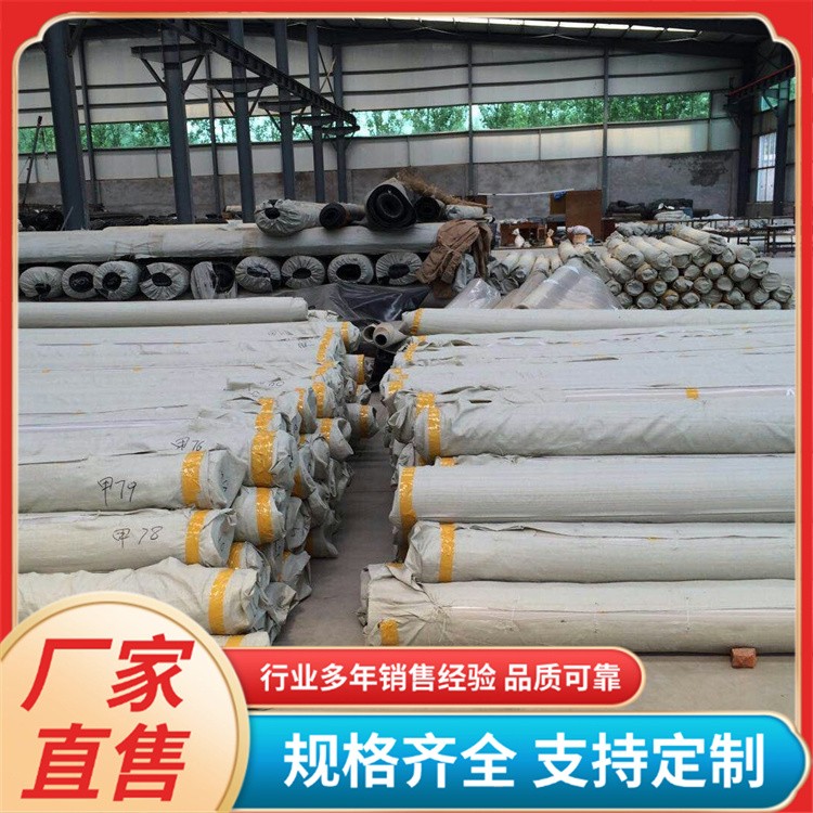 耐老化 使用寿命长 EVA隧道防水板 蓄水池垃圾场防渗膜