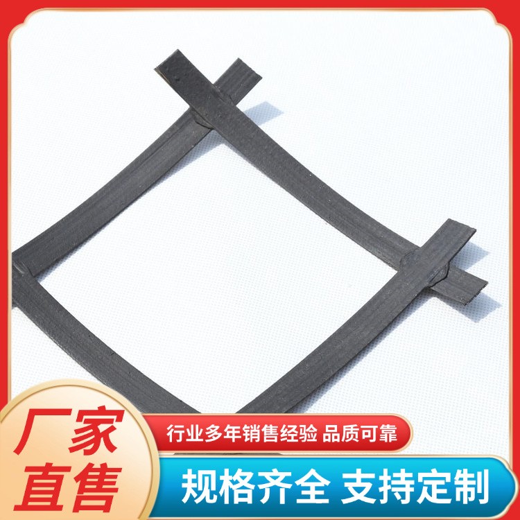 路基加固专用钢塑格栅 挡土墙护坡加筋钢丝拉筋带 土工格栅厂家
