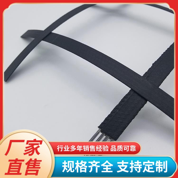 钢塑复合拉筋带 挡土墙路基铁路护坡 加筋带 土工格栅