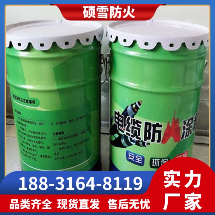 电缆防火涂料CP678 膨胀WCP-60电缆防火涂料耐腐蚀耐高温 硕雪