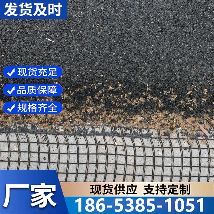 玻纤土工格栅 EGA土工格栅 单向双向塑料格栅网格 土木工程施工