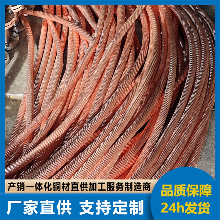 供应铜编织带双孔防雷铜导线铜辫子软连接软铜带避雷线导电带国标