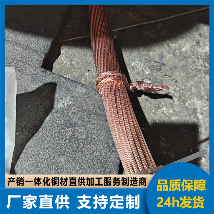 国标现货T2紫铜绞线 裸铜接地防雷铜绞线TJ16/25/35/50/70无氧铜