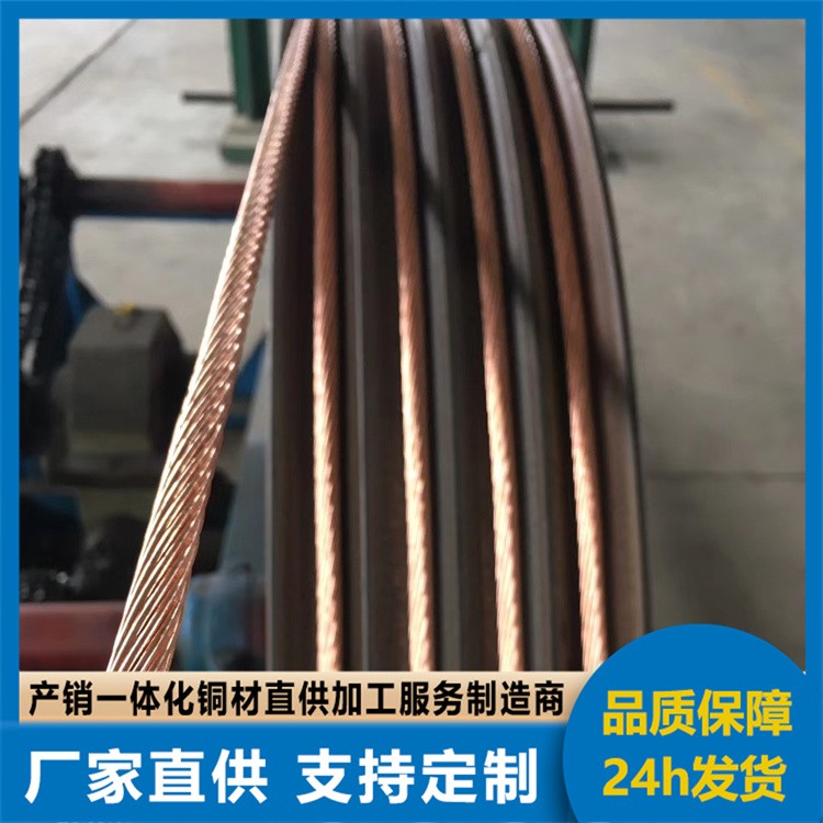 国标4/6平方铜编织带接地镀锡扁铜线纯铜导电带桥架软连接