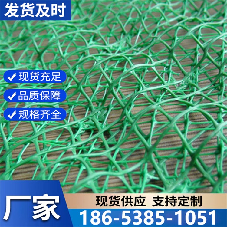 三维网垫减少冲刷增加强度绿化护坡用土工网