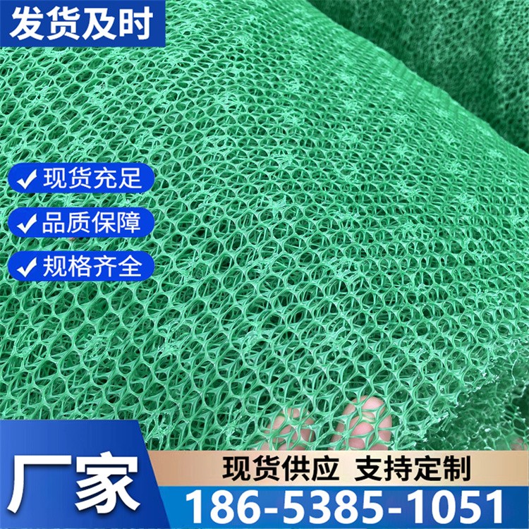 三维网垫河道边坡治理植草用护坡土工网垫