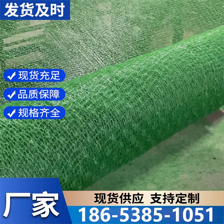 三维网垫加筋边坡防护植被网 镀锌钢丝 施工方便
