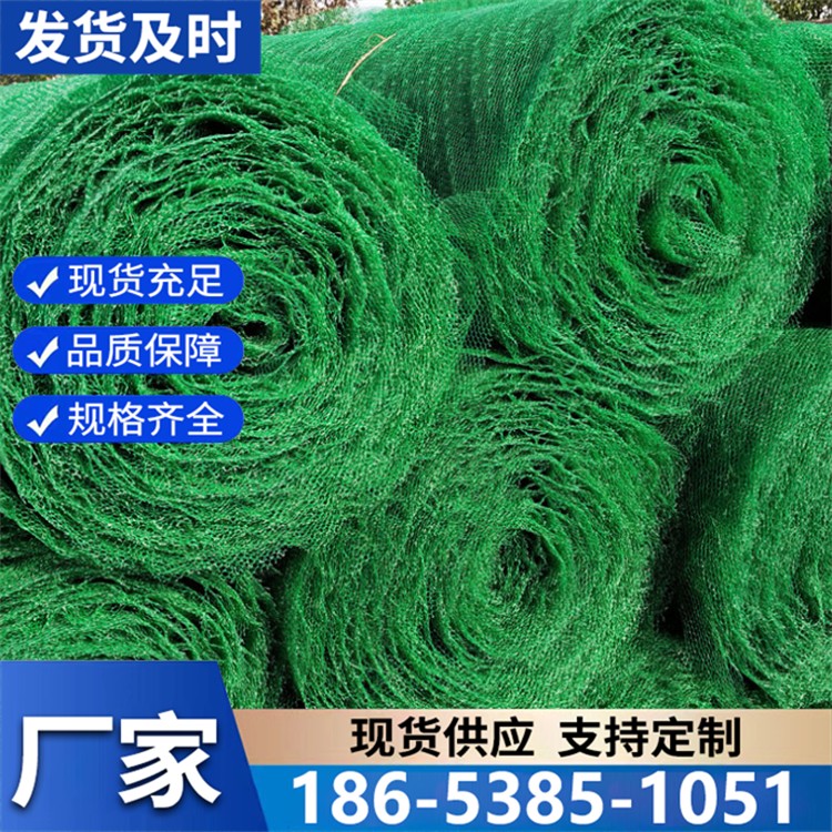 三维网垫坡防护河道 生态修复防尘加固网垫