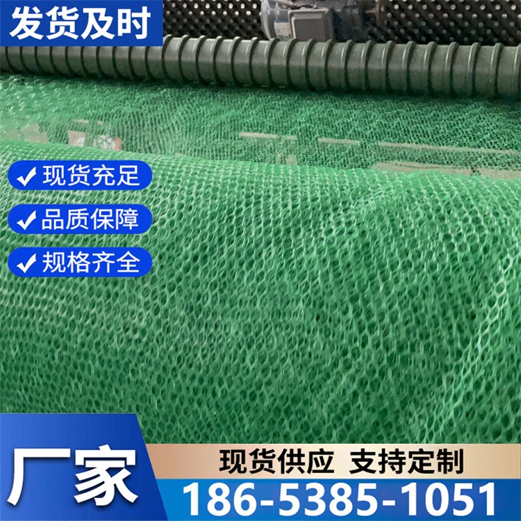 三维网垫加筋植被固土塑料土工网 堤坝稳固 货源充足