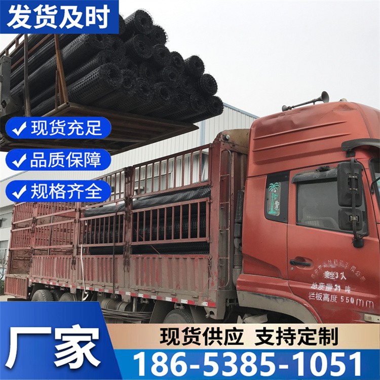 塑料双向拉伸土工格栅 路基加固老路加筋 养殖网围栏