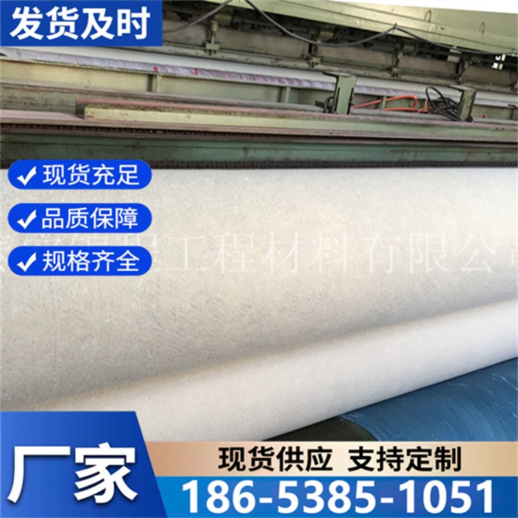 无纺土工布人工湖鱼塘鱼池河道护坡 厂家直供 垃圾填埋场用