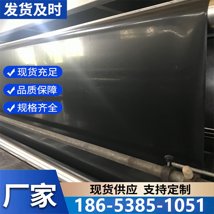养殖膜养殖场鱼塘渠道堤坝聚乙烯防渗土工膜 耐老化稳定性强