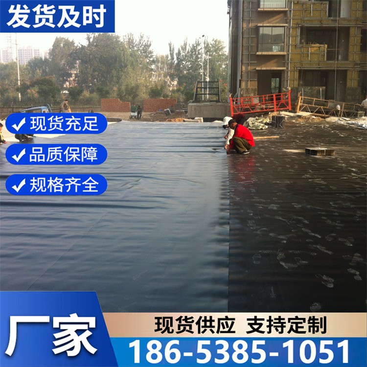 养殖膜水库堤坝鱼塘养殖膜 蓄水池防渗膜 沼气池黑膜 延展性强