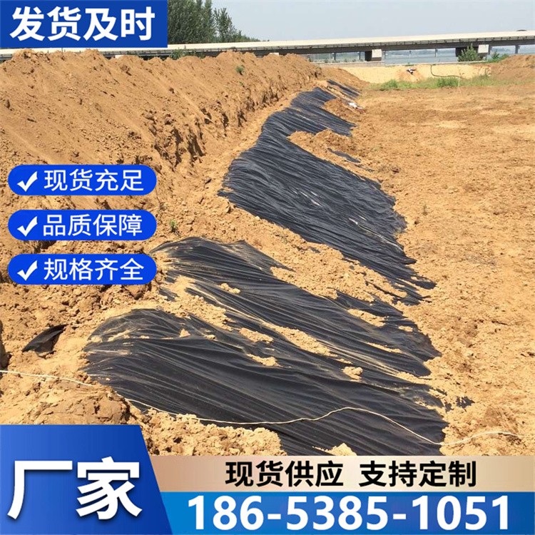 养殖膜批发糙面土工膜养殖防渗膜耐酸碱性好供货及时
