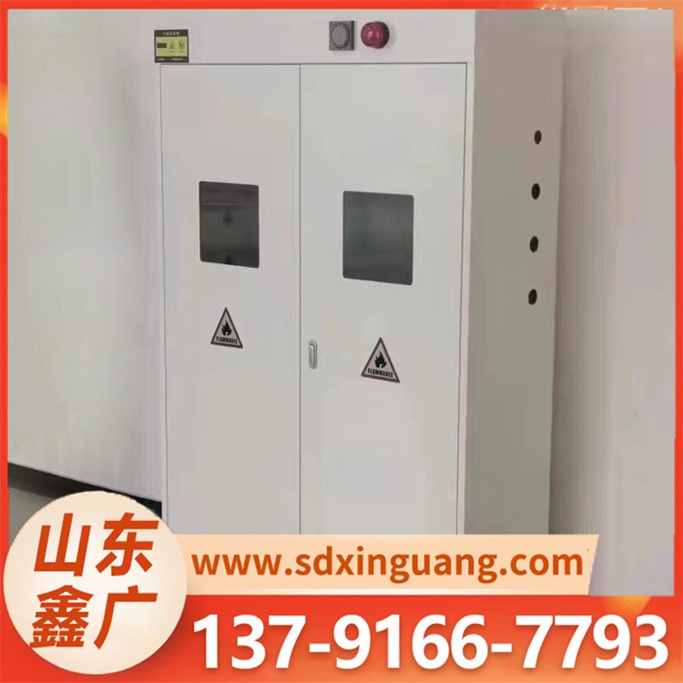 气瓶柜 工业防火防爆柜易燃易爆液存放柜