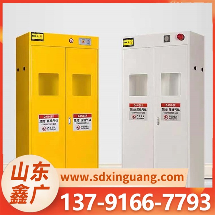气瓶柜 气体泄漏智能报警防爆柜 规格齐全
