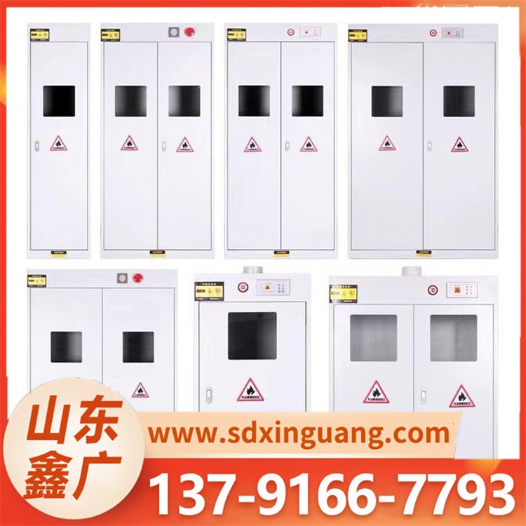 气瓶柜 实验室双瓶煤气罐乙炔氮气氢气体钢瓶储存柜